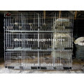 Poultry Farm Pigeon Breeding Cage For Sale